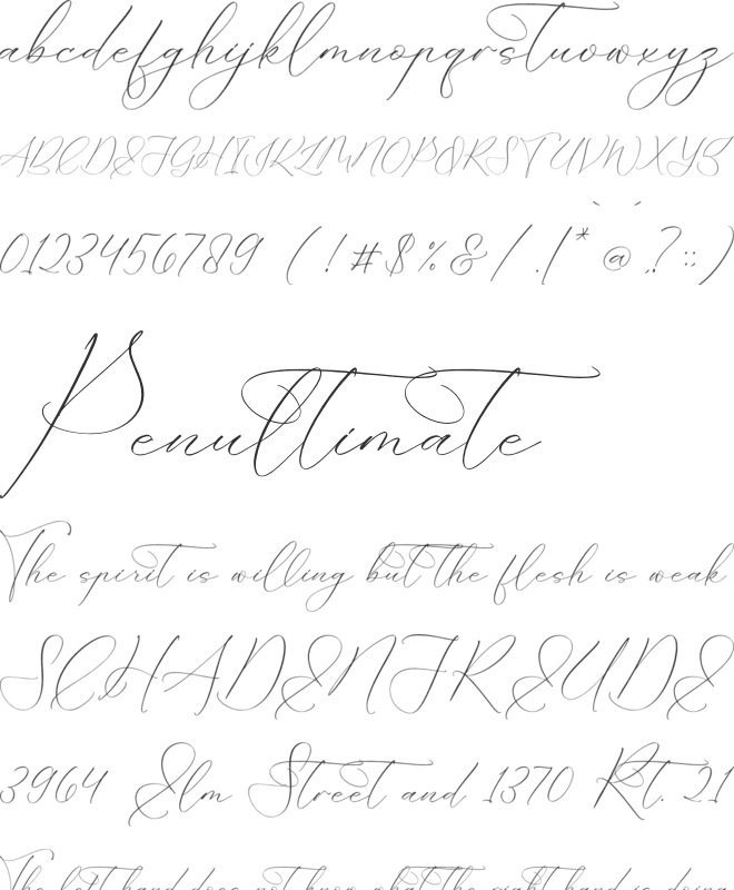 Portterda font preview