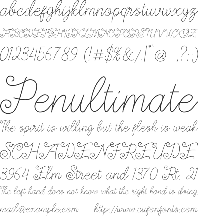 Stevilla font preview