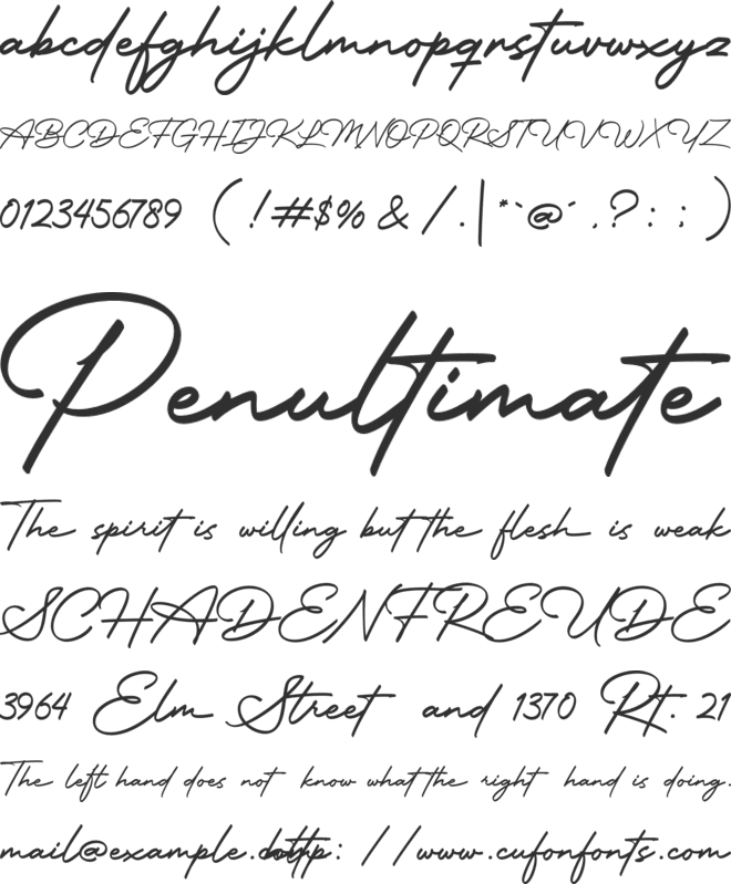 Motterdam font preview