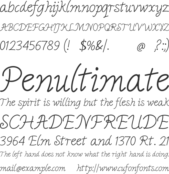 Raelina Jenkins font preview