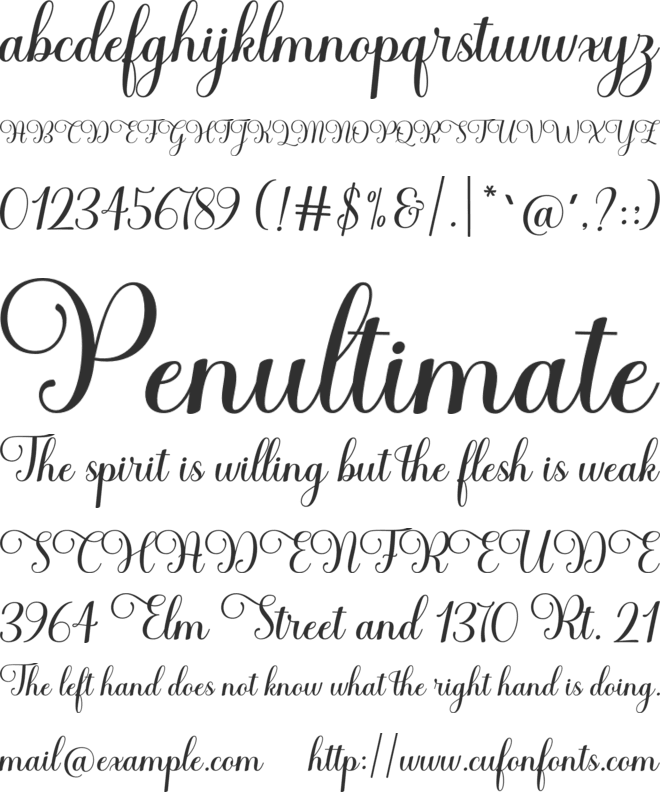 Haileyna font preview