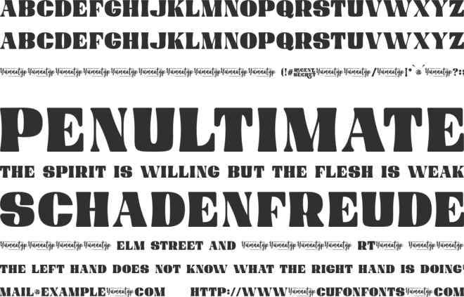 Recent Secret Personal Use font preview