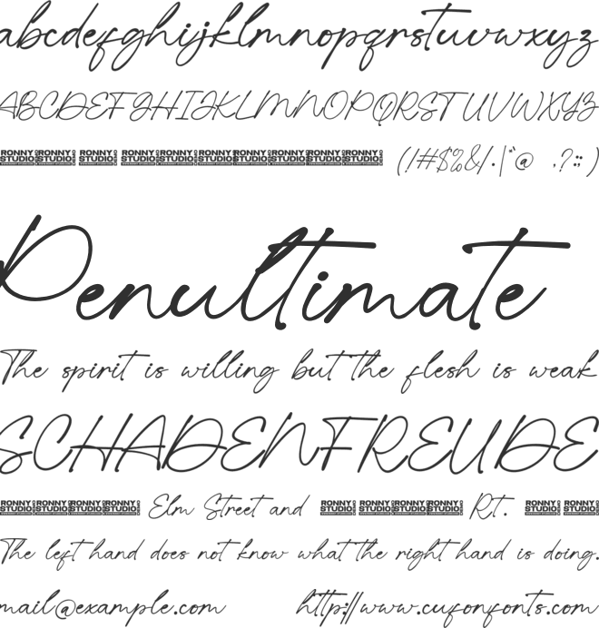 Heligthon Signature font preview