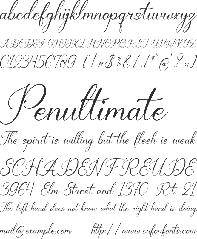 Berthaleya Ferbonitze font preview