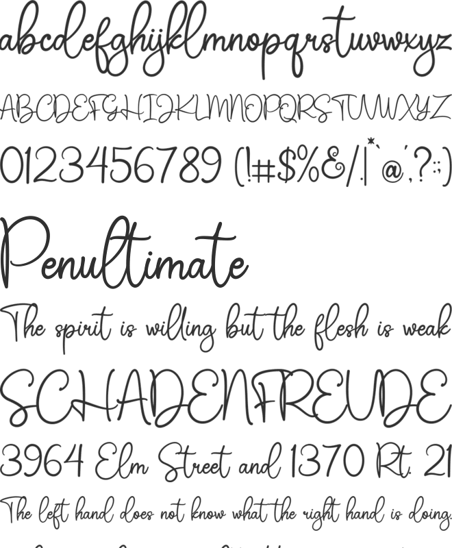 Bolline Chocolate font preview