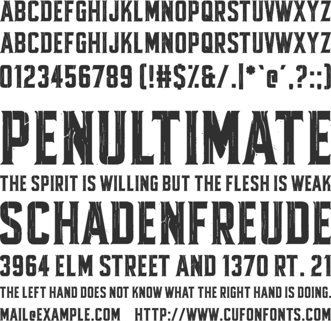 Fractured Fir Font : Download Free for Desktop & Webfont