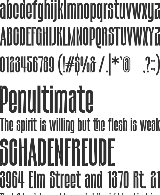 POLARION font preview