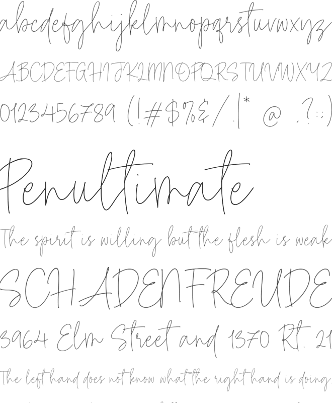 Benedict Hamer font preview