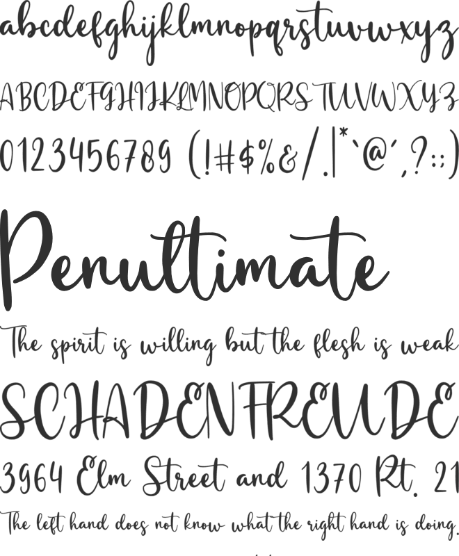 Bashinta font preview