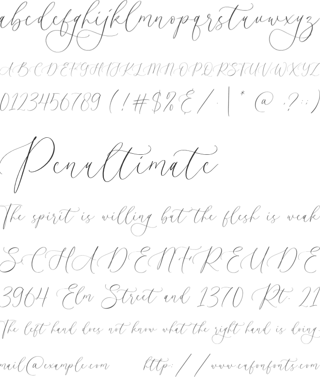 Heavytimes font preview