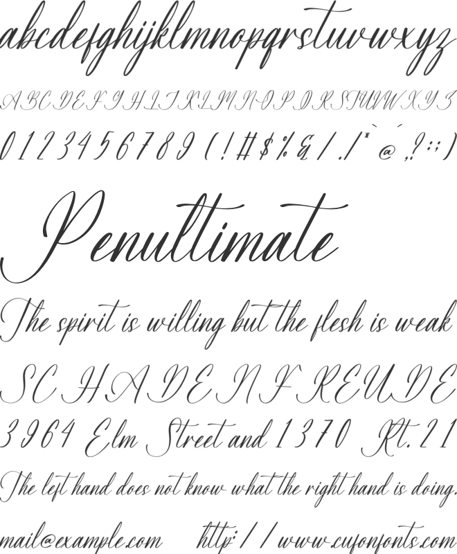 Beautyna Amberosa font preview