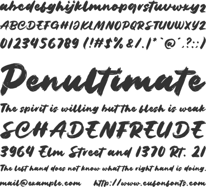 Secret Director font preview