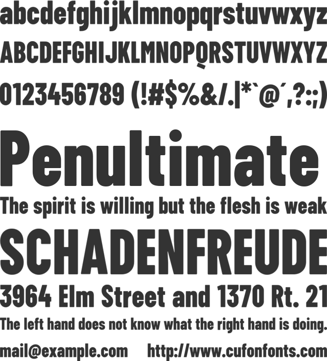 ZT Floogn font preview