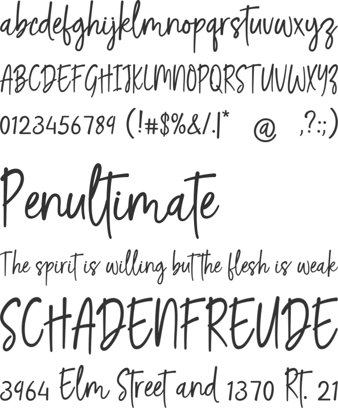 Renita Montes font preview