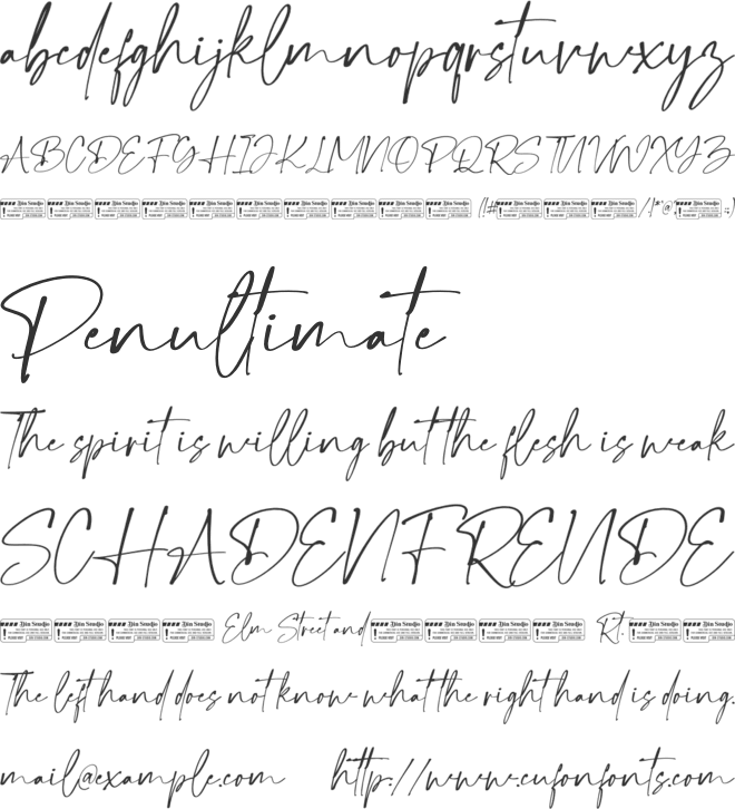 Finest Romance Script font preview