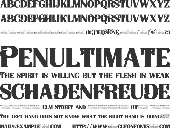Fieldstone Personal Use font preview