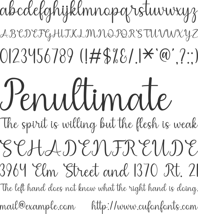 Christmas Ornamen font preview