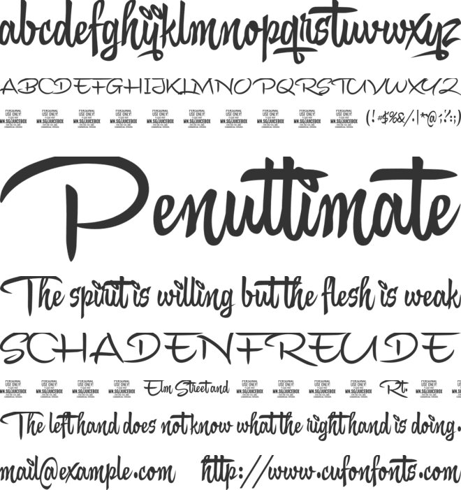 Juicebox Script PERSONAL USE font preview