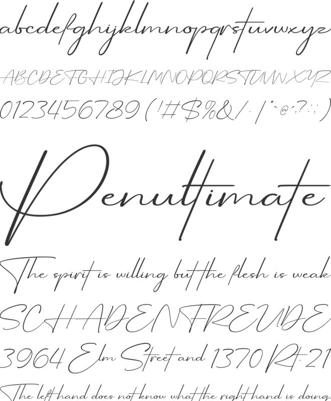 Aurantiaca font preview