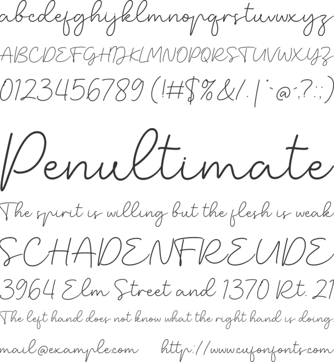Ensley wilson font preview