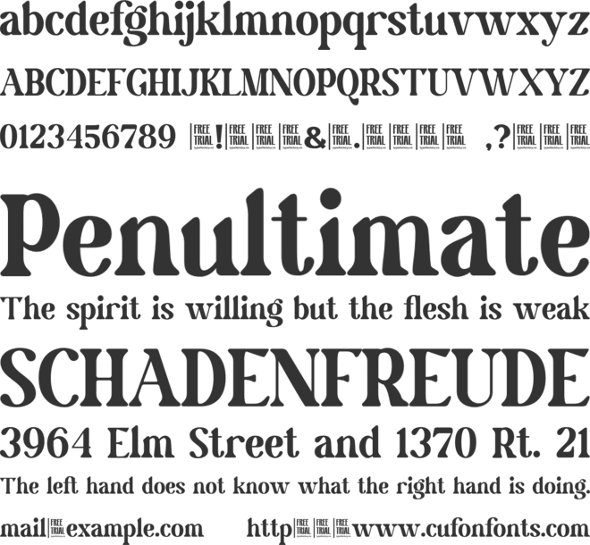 Wordle font preview