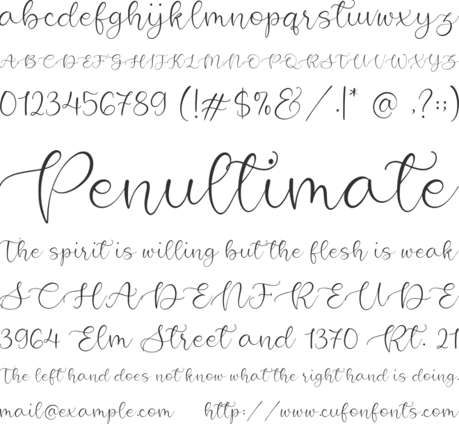 Wonderful Cookies font preview
