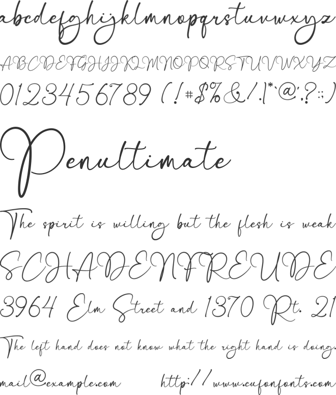 Bellissa Signature font preview