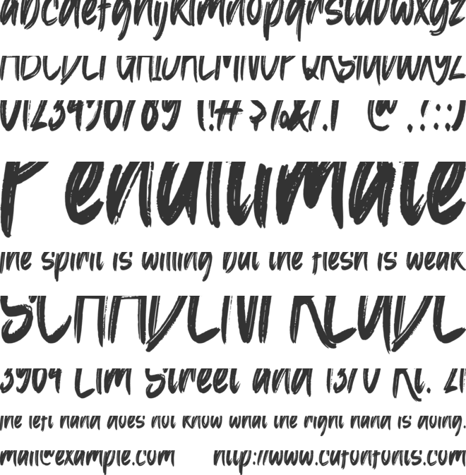 Brilliancy Brush font preview