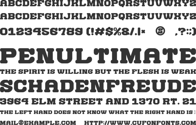 Wild Character font preview