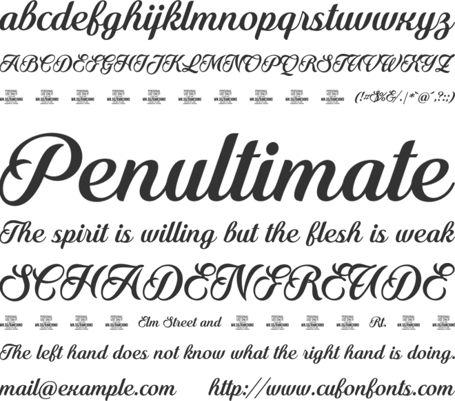 Ranchino Script  PERSONAL font preview