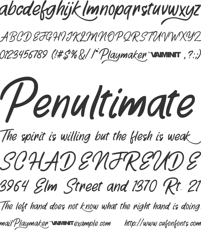 PlaymakerD font preview