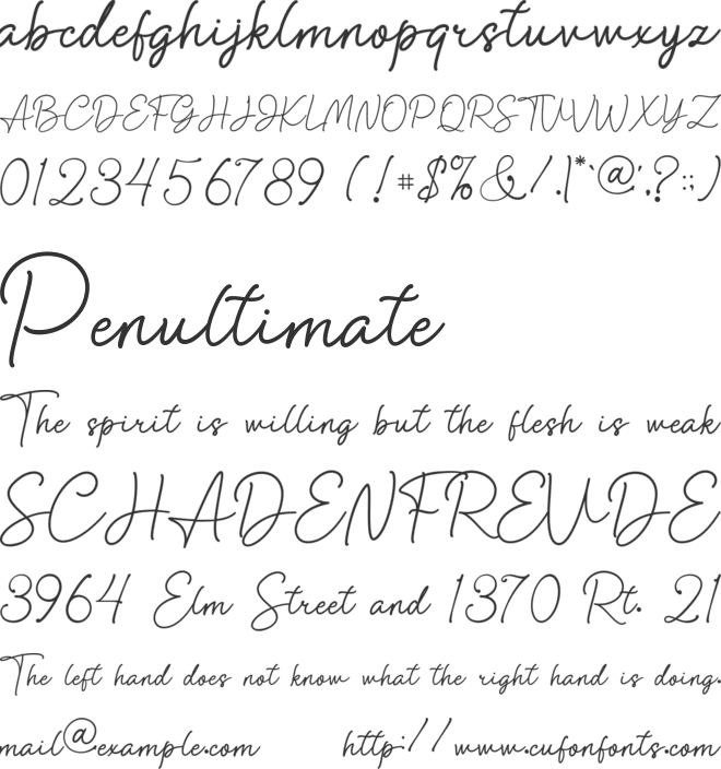 Anisa Signature font preview