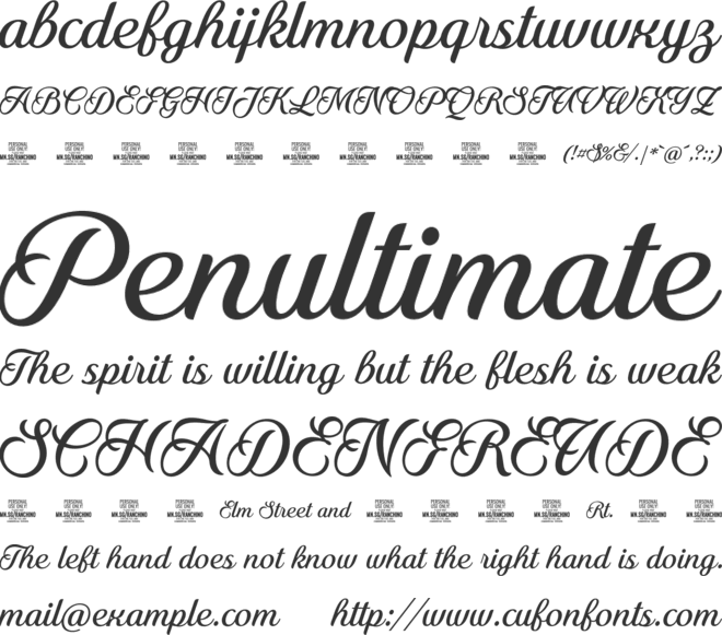 Ranchino Script PERSONAL USE font preview