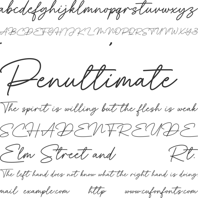 Delphin font preview