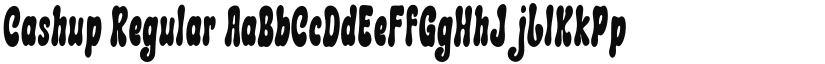 Cashup font download