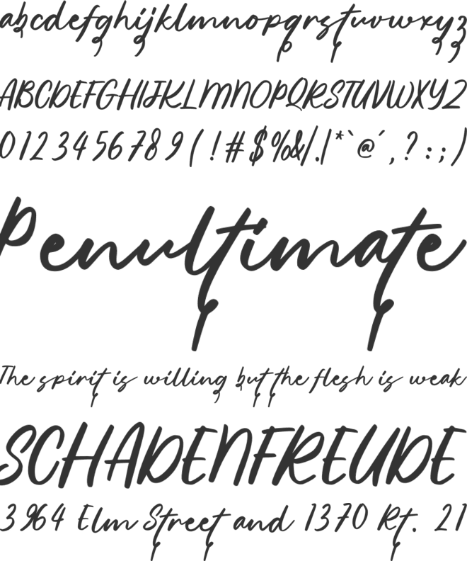 Kelfins font preview