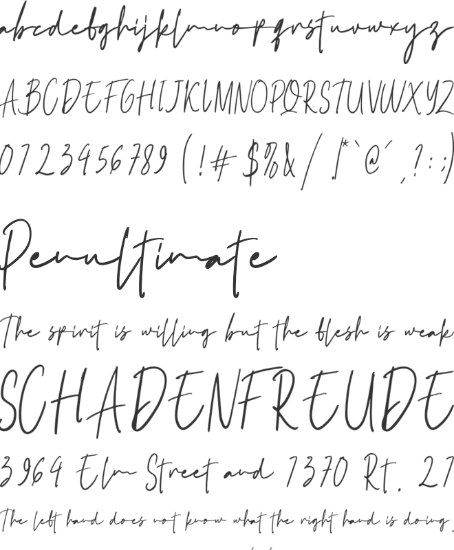 SS Backyard font preview