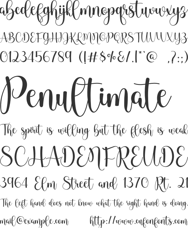 Abela font preview