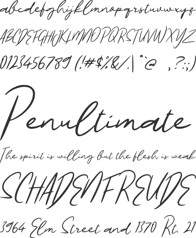 L Larengo Signature font preview