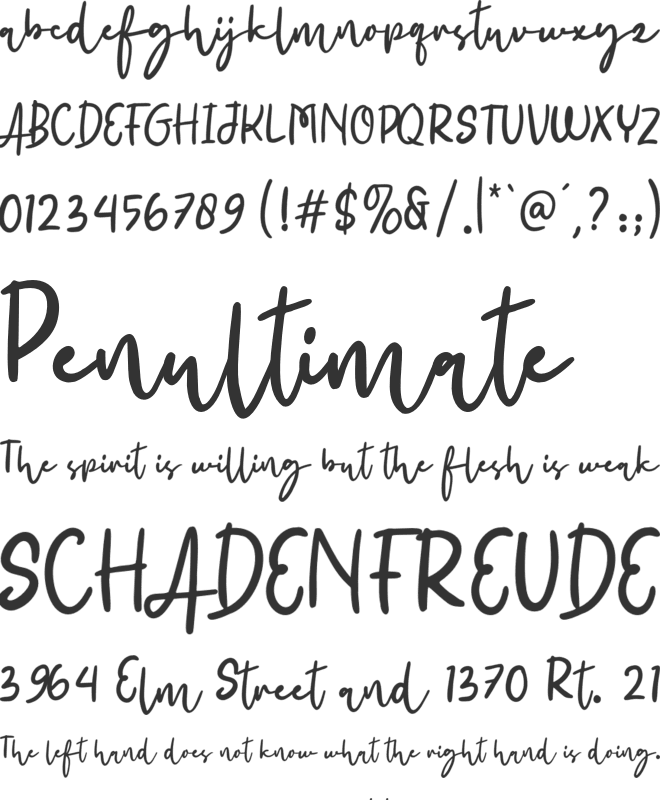 SS Austin font preview