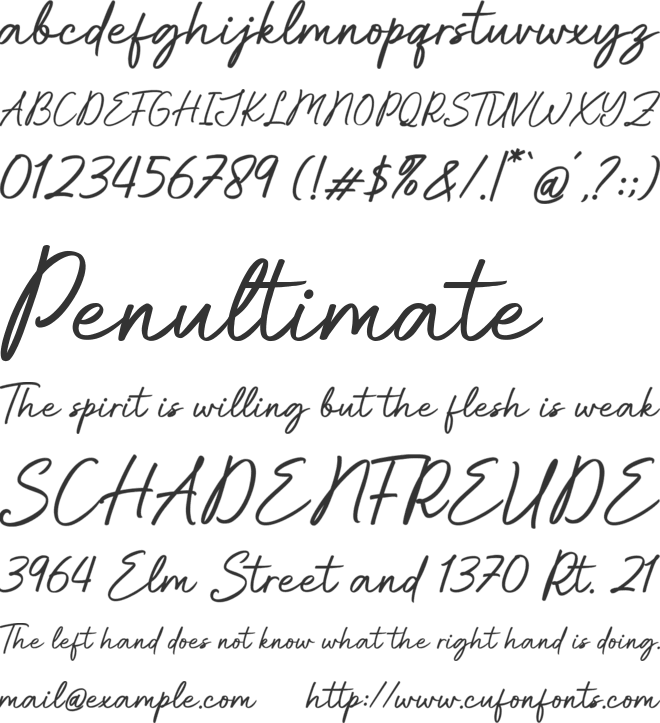 Breties Script font preview