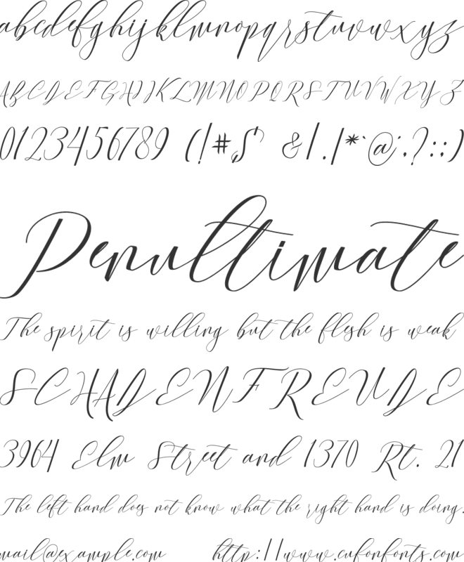 Black Wonder font preview