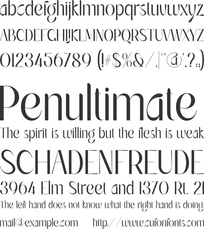 SS Angelica font preview