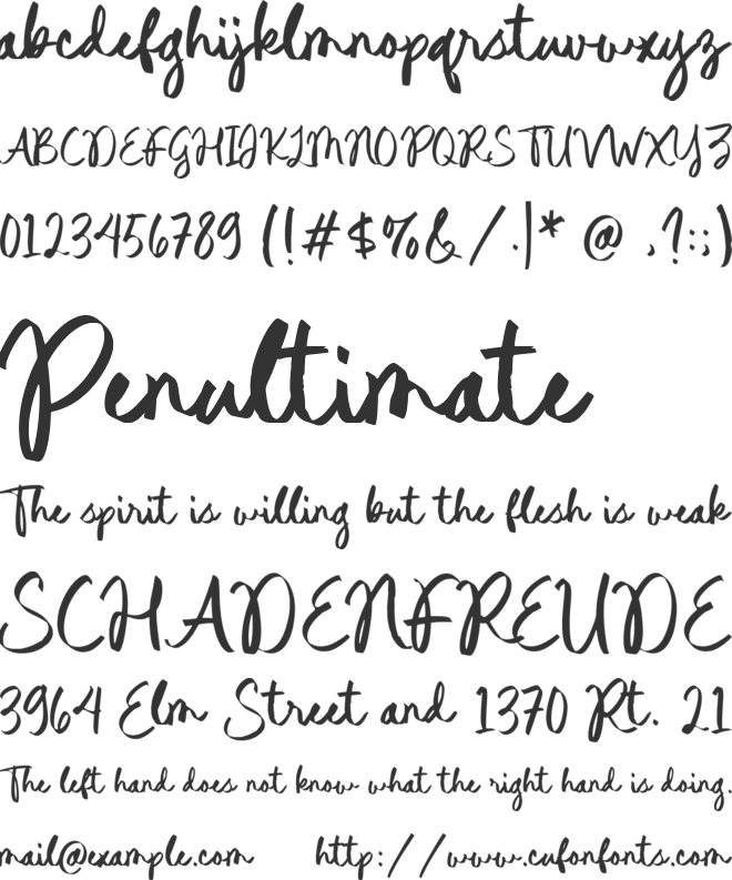Fortune Taylor font preview