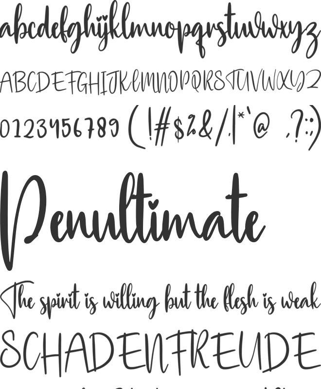 Stylish font preview