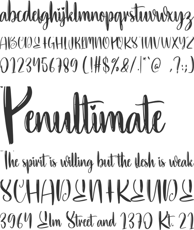 Steady font preview