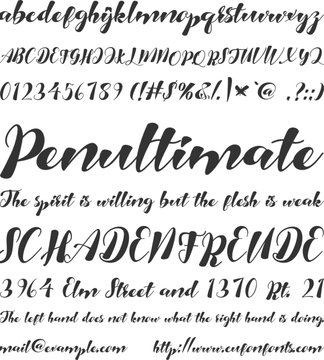 Neusicaa font preview