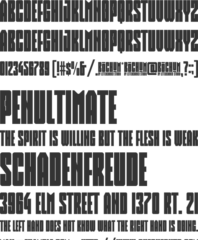 Bochum font preview