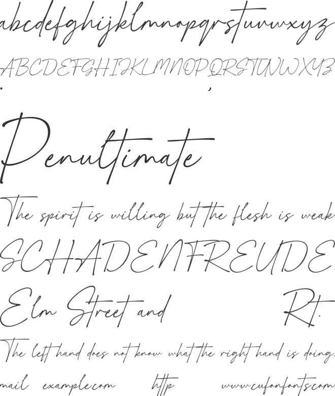 Signaturia font preview