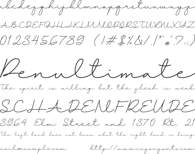 Mefinast Script font preview